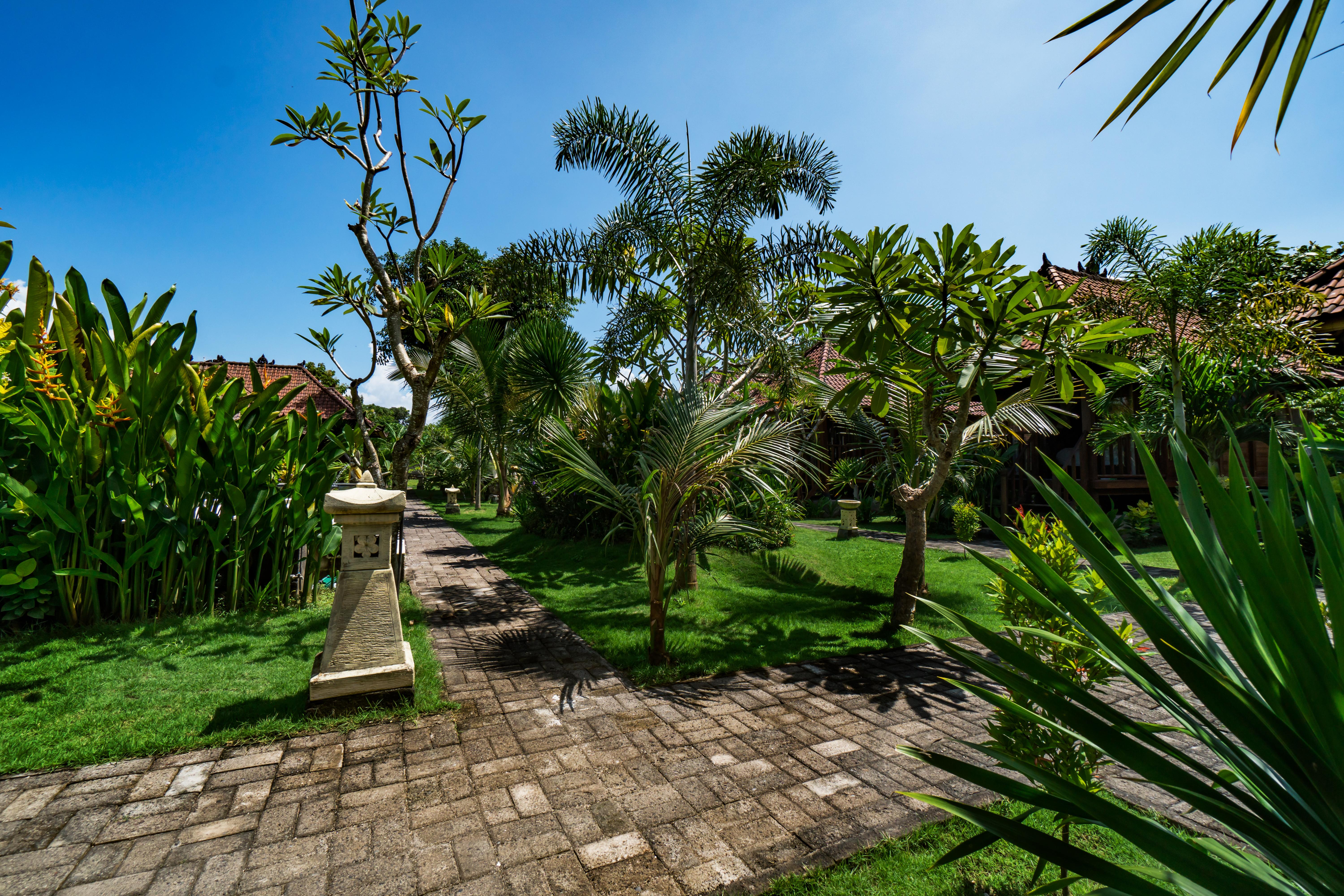 The Cozy Villas Lembongan Nusa Lembongan Dış mekan fotoğraf